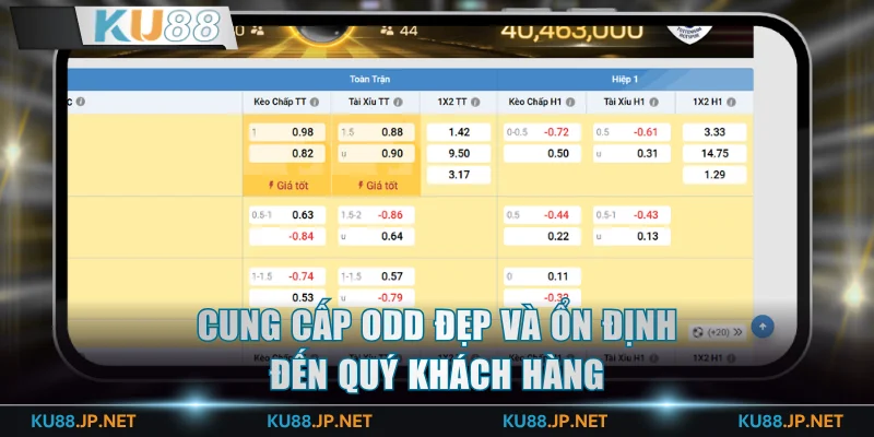 Cung cấp odd đẹp và ổn định đến quý khách hàng